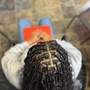 Crochet Braids