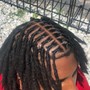 Loc Style (No Retwist)