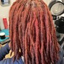 Starter locs