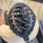 Comb Twist/ Coils