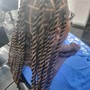 Havana Twists