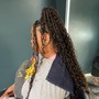 Medium feed in Braids