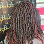 Loc Detox + Retwist