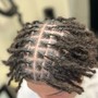 Starter locs