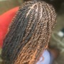 Wig Braid Down Wash+Condition