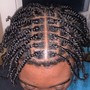 Two Strand Twist