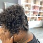 Root Touch Up