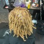 Root Touch Up