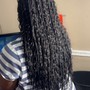 Medium Midback Senegalese Twist