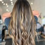 Partial Balayage/ Foiliage + B3