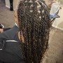 Medium Island Twist