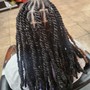 Tree Braids