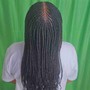 Half conrow in front, Half knotless braid in the back, medium size waist length