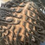 Loc Maintenance (crochet interlocking)