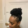 Havana Twists