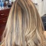 Root Touch Up