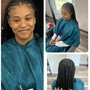 Wash ,Blow dry , braid down