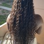 Natural Twists