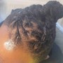 Loc Maintenance and massage with any oil