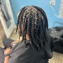 Root Touch Up