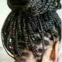 Senegalese Twist - medium size , midback