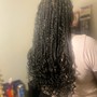 Medium Island Twist