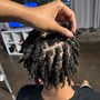 Starter Locs (Two Strand)