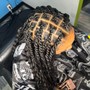 Box Braids/knotless large