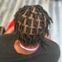 Loc Coils starter locs