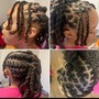 Plaits/Two Strand Twists (mid to lower back length)