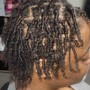 Starter Locs