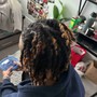 Starter Locs