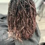 Root Touch Up