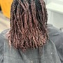 Root Touch Up