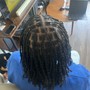 Small/Medium Passion Twists