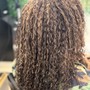 Crochet Braids