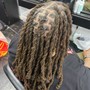 Loc Extensions (hair not included)