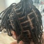 Individual Braids