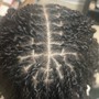 Two Strand Twist