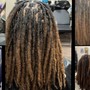 Starter Locs