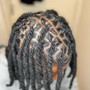 Individual Braids