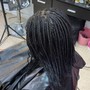 Medium 2 Strand Twist