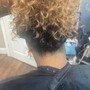 Crochet Braids/Twist