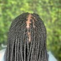 Box Braids