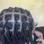 Loc detox wash retwist and style