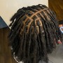 Wash and Retwist (full head)