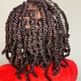 Medium Passion Twists