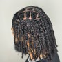 Individual Braids + hair