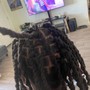 Loc Retwist