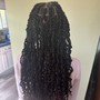 Passion Twists Large (Standard Length)